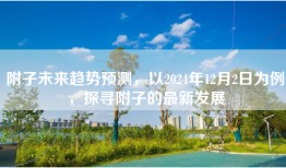 附子未来趋势预测，以2024年12月2日为例，探寻附子的最新发展