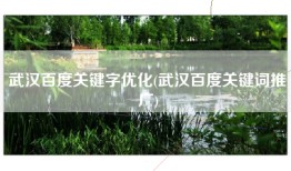 武汉百度关键字优化(武汉百度关键词推广)