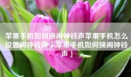 苹果手机如何换闹钟铃声苹果手机怎么设置闹钟铃声「苹果手机如何换闹钟铃声」