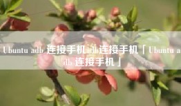 Ubuntu adb 连接手机adb连接手机「Ubuntu adb 连接手机」