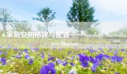 6.家庭安防搭建与配置——Synology Surveillance Station