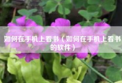 如何在手机上看书（如何在手机上看书的软件）