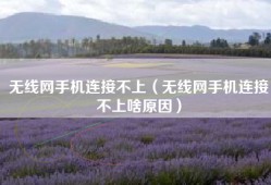 无线网手机连接不上（无线网手机连接不上啥原因）