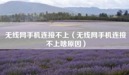 无线网手机连接不上（无线网手机连接不上啥原因）