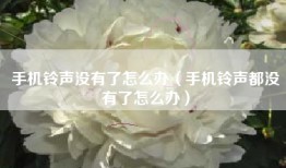 手机铃声没有了怎么办（手机铃声都没有了怎么办）