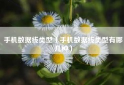 手机数据线类型（手机数据线类型有哪几种）