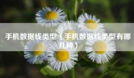 手机数据线类型（手机数据线类型有哪几种）