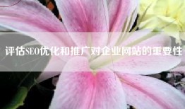 评估SEO优化和推广对企业网站的重要性