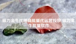 磁力金牛代理商批量代运营投放 磁力金牛批量软件