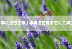 手机语音提示（手机语音提示怎么关闭）