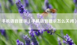 手机语音提示（手机语音提示怎么关闭）
