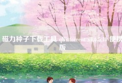 磁力种子下载工具 qBittorrent v4.6.5.10 便携版