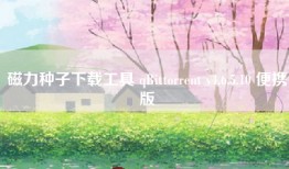磁力种子下载工具 qBittorrent v4.6.5.10 便携版