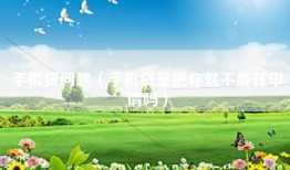 手机贷问题（手机贷是把你就不能在申请吗）