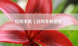 日历手机（日历手机壁纸）