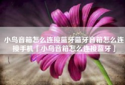 小鸟音箱怎么连接蓝牙蓝牙音箱怎么连接手机「小鸟音箱怎么连接蓝牙」