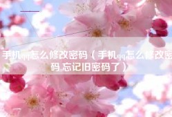 手机qq怎么修改密码（手机qq怎么修改密码,忘记旧密码了）