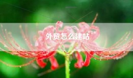 外贸怎么建站