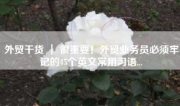 外贸干货 ｜ 很重要！外贸业务员必须牢记的45个英文常用习语...