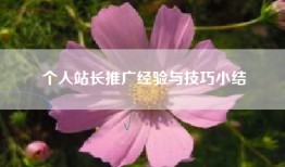 个人站长推广经验与技巧小结