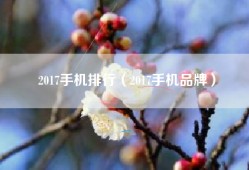 2017手机排行（2017手机品牌）