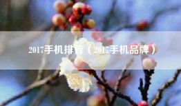 2017手机排行（2017手机品牌）