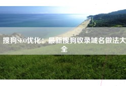 搜狗SEO优化：最新搜狗收录域名做法大全