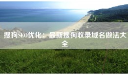 搜狗SEO优化：最新搜狗收录域名做法大全