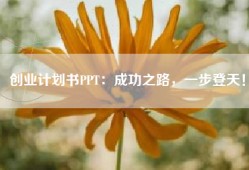 创业计划书PPT：成功之路，一步登天！