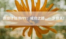 创业计划书PPT：成功之路，一步登天！