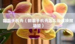 翻盖手机壳（翻盖手机壳怎么设置唤醒功能）