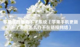 苹果手机更新不了系统（苹果手机更新不了系统怎么办不在链接网络）