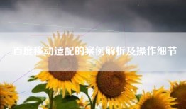 百度移动适配的案例解析及操作细节