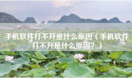 手机软件打不开是什么原因（手机软件打不开是什么原因？）