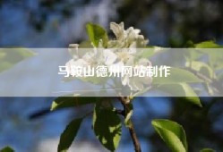 马鞍山德州网站制作