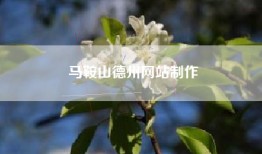马鞍山德州网站制作