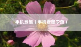 手机费墨（手机费墨李燕）