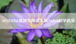 2024TikTok变现实操课入局TikTok必学内容