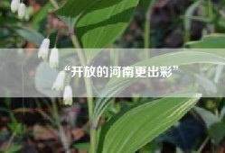 “开放的河南更出彩”