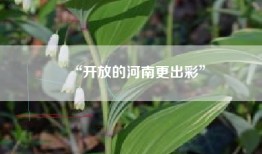 “开放的河南更出彩”