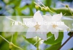 了解与认识SEO-SEO百科网教程