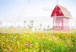 苹果手机莫名震动（苹果手机莫名震动很大声）