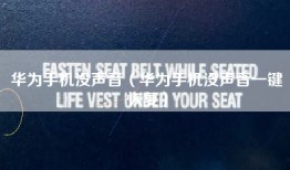 华为手机没声音（华为手机没声音一键恢复）