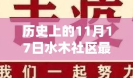 揭秘水木社区历史上的重要时刻，十一月十七日回顾与展望