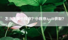 怎么关联小程序？小程序AppID获取？