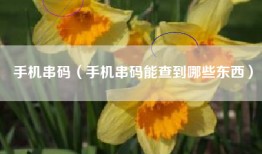 手机串码（手机串码能查到哪些东西）