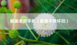 翻盖老款手机（翻盖手机怀旧）