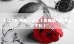 老年手机屏幕（老年手机屏幕一直亮怎么关掉）