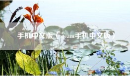 手机中文版（steam手机中文版）