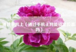 通过手机上（通过手机上网能锁定位置吗）